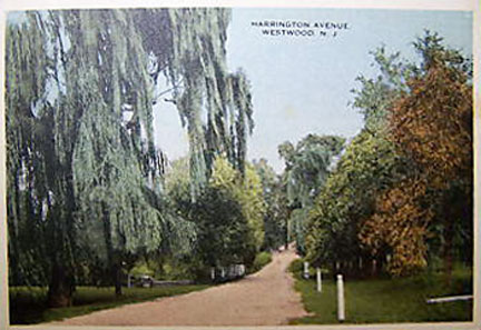 Harrington Avenue - Early 1900's.